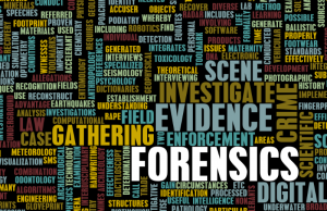 forensic-consulting